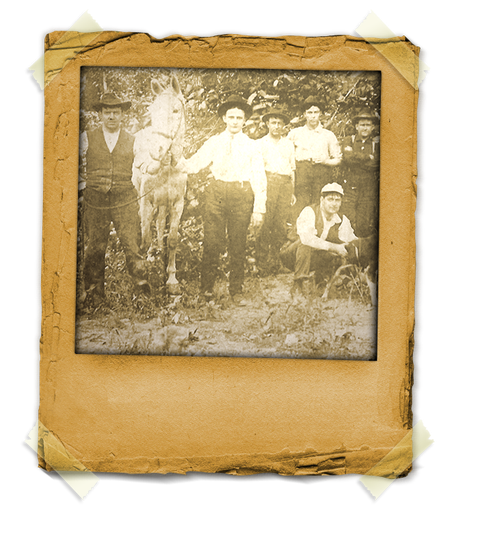 George John Hof Jr.